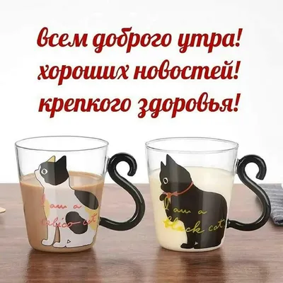 http://vip-otkrytki.ru/mira-schastya-i-dobra-vam/ | Детеныши животных, Мир,  Счастье