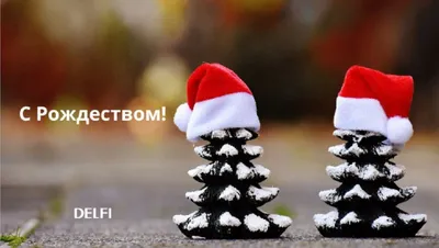 RusDelfi желает вам счастливого Рождества! - Delfi RUS