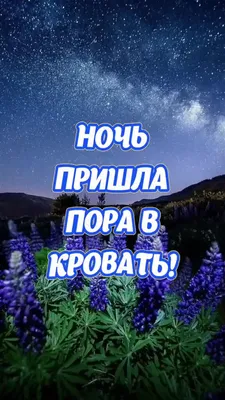 Красивые картинки Спокойной ночи 🌠🌙 (217 шт.)