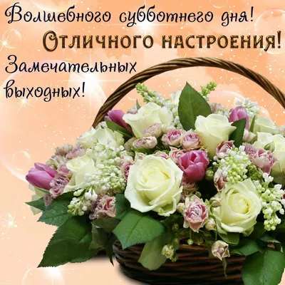 Владимир Камеко: «Сердечно поздравляю с профессиональным праздником всех  представителей сферы здравоохранения региона!»