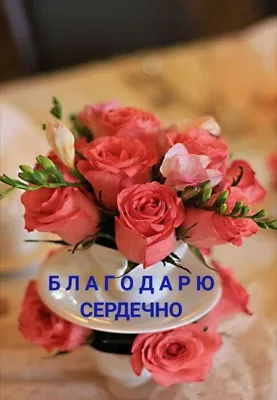 Pin by Лёля Galustyan on Благодарю, спасибо | Good morning wishes, Good  morning images, Good morning