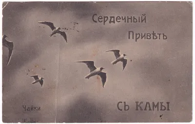 Букет Сердечный привет» с гвоздиками - купить в Хабаровске за 4 310 руб