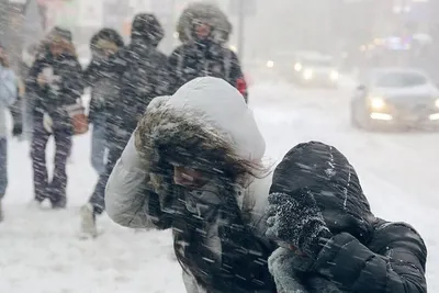 Прогноз погоды, январь 2024 – будет ли в Украине снеговая зима — Эксклюзив  ТСН