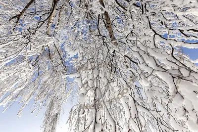 Середина зимы | Середина зимы rsooll.com/2020/01/rsooll/midd… | Flickr