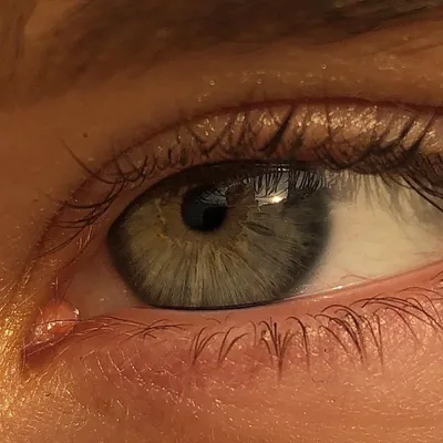 Серо зелёные глаза» — создано в Шедевруме