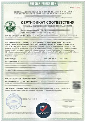 Электронный сертификат на 5000 рублей купить по цене от производителя в  Москве