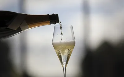 Шампанское Левъ Голицынъ Российское Брют белое брют 11%, 200мл - купить с  доставкой в Москве в Перекрёстке