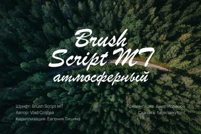 Лучшие бесплатные шрифты на русском в Canva-2022