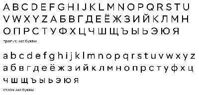 Русский типографский шрифт. Вопросы истории и практика применения 121