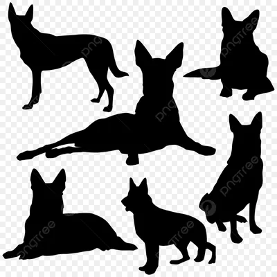 Силуэт собаки, простая черно-белая векторная иллюстрация. Stock Vector |  Adobe Stock