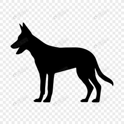 Силуэт Собаки — стоковая векторная графика и другие изображения на тему  Собака - Собака, Силуэт, Иконка - iStock