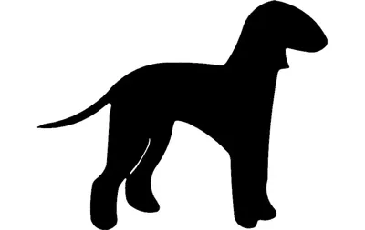 Раскраски Силуэт, Раскраска Силуэт собаки контуры собаки.