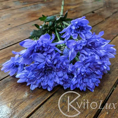 Синие розы поштучно купить с доставкой в Москве | Заказать букет цветов  недорого