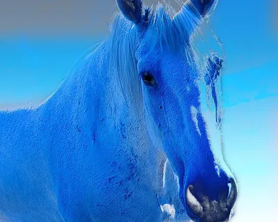 Монгольский «Синий конь» угрожает Байкалу и всемирному природному наследию  ЮНЕСКО: Новости ➕1, 18.11.2022