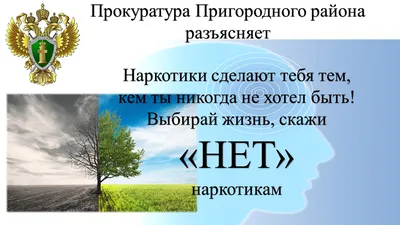 Антинаркотический видеоролик «Скажи наркотикам НЕТ» | ГБУЗ ПККБ1