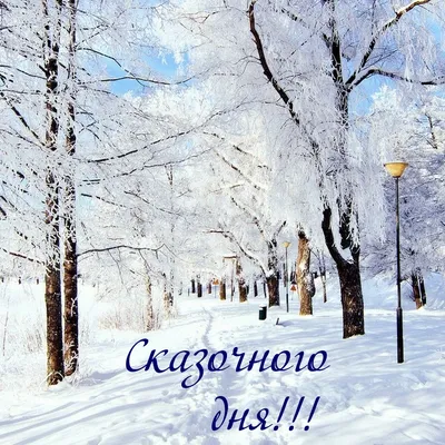 Чудесного зимнего настроения на выходные! :: Игорь Сарапулов – Социальная  сеть ФотоКто