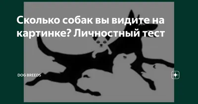 Сколько собак ты видишь? Тест на психологический возраст | Офигенно | Дзен