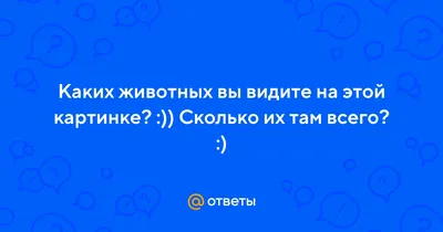 Тест на Альцгеймера: сколько животных вы насчитаете на картинке? | Вокруг  Света