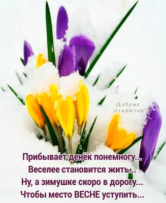 Совсем скоро весна 🌸 И приближается самый красивый весенний праздник 8  марта | Санкт-Петербург