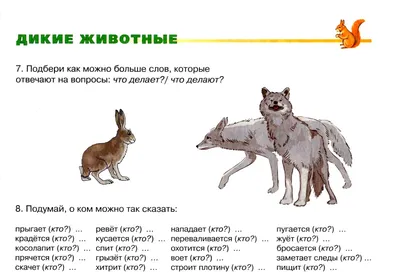 Что делать, когда встретил дикое животное - Новости - Главное управление  МЧС России по Ульяновской области