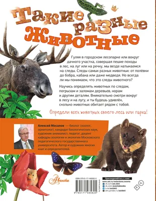Книга Животные леса: 0+ - купить в Торговый Дом БММ, цена на Мегамаркет