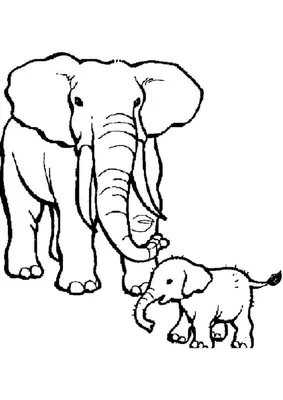 Слон рисунок для детей. Скачать и распечатать