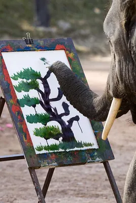 Михалков Слон-живописец, текст басни читать полностью для детей