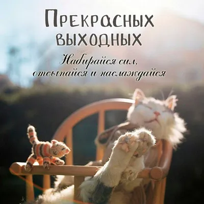 Альбомы Татьяны Фроловой | ВКонтакте | Открытки, Веселые картинки, Картинки