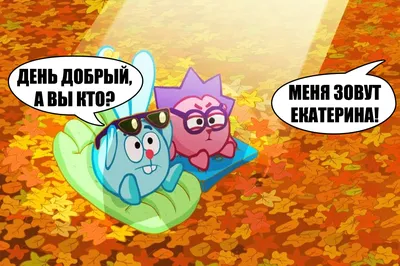 Смешные стоп-кадры | Смешарики RUS Amino