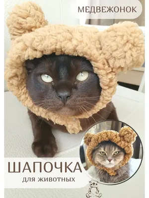 PETSROOM Шапка для кошек и собак шапочка для кота уши зайца смешные