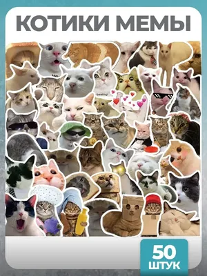205496 Наклейки на телефон А6 Стикеры для телефона Смешные котики - купить  с доставкой по низким ценам | Интернет-магазин Fkniga.ru