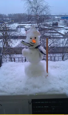 Зима,смешной воробей в шапочке и …» — создано в Шедевруме