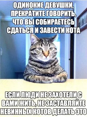 Книга АСТ Читаем перед сном 38 попугаев купить по цене 832 ₽ в  интернет-магазине Детский мир