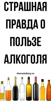 Купить Алкофан, Алкогольные напитки и культура пития, 2019 г. в интернет  магазине GESBES. Характеристики, цена | 77728. Адрес Московское ш., 137А,  Орёл, Орловская обл., Россия, 302025