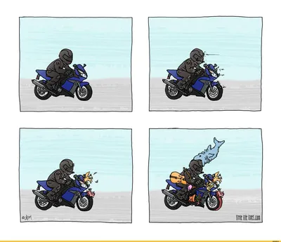 мотоцикл / смешные картинки и другие приколы: комиксы, гиф анимация, видео,  лучший интеллектуальный юмор.