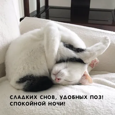 Мемы - этот сон | Facebook