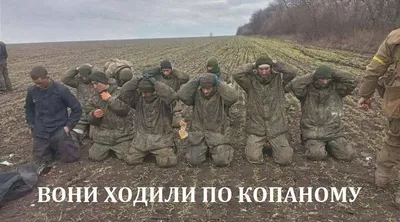 Мемы войны в Украине 2022 - лучшие шутки и смешные песни, фото и видео |  Стайлер