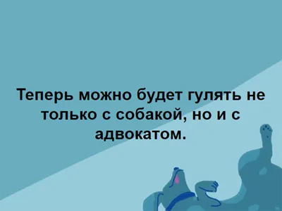 Шутки, мемы и соцсети: как юристы пережили \"коронавирусную\" весну - новости  Право.ру