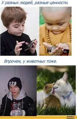 Прикольные фотографии людей и животных. Обсуждение на LiveInternet -  Российский Сервис Онлайн-Дневников