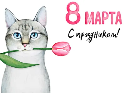 Прикольные открытки с 8 марта - Новости на KP.UA