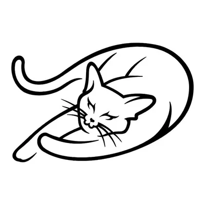 Милота, коты и мемы - Смешные комиксы о животных от американской художницы  nakanoart | Смешные картинки | Дзен