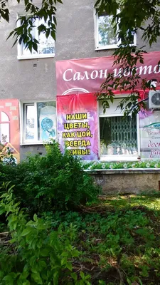 Приколы нашего городка, или немного \"креативной\" рекламы Новороссийска