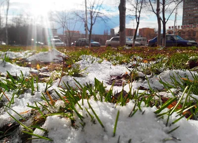 ⬇ Скачать картинки Весна снег, стоковые фото Весна снег в хорошем качестве  | Depositphotos