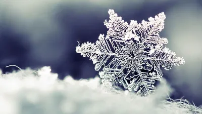 Обои снежинка, снег, форма, узор картинки на рабочий стол, фото скачать  бесплатно | Зимняя фотография, Снежинки, Картинки снега