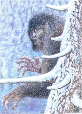 Снежный Человек (основная обложка) – купить за 550 руб | Чук и Гик. Магазин  комиксов