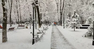 Снежный город ночью в Колорадо снятый Ником Джонсоном, картинка колорадо,  Колорадо, не спешить фон картинки и Фото для бесплатной загрузки