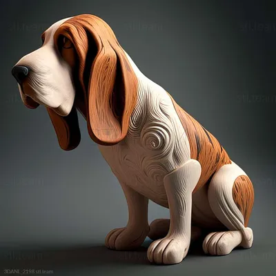 Собака бассет-хаунд Stock Illustration | Adobe Stock