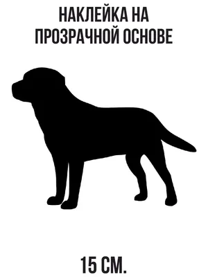 Нарисованная собака чёрная такса» — создано в Шедевруме