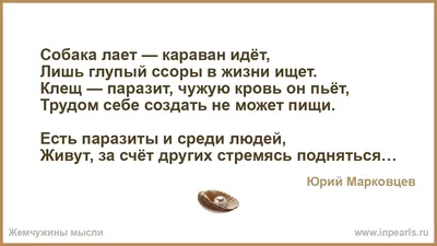 Ответы Mail.ru: Какие цитаты о сплетнях вы знаете?? типо\"собака лает-караван  идёт\"