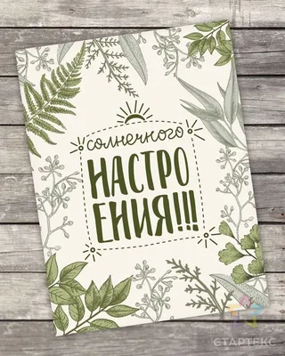 Открытка “Солнечного настроения” – Воздушные шары и цветы с доставкой в  Гродно